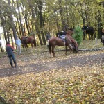 Lovas oktatás, képzés (3)