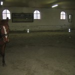 Lovas oktatás, képzés (5)