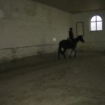 Lovas oktatás, képzés (6)