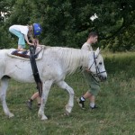 Ovilovi (16)