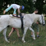Ovilovi (17)