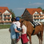 Ovilovi (2)