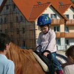 Ovilovi (4)