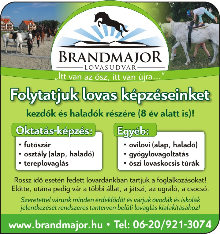 brandmajori_lovasudvar_2009_09_04