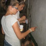 IMG_8830