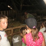 IMG_8881